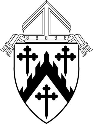 DIOCESE OF DAVENPORT POLICIES RELATING TO PARISH COUNCILS AND PARISH FINANCE COUNCILS These pages may be reproduced by parish and Diocesan staff for their use Policy promulgated at the Pastoral