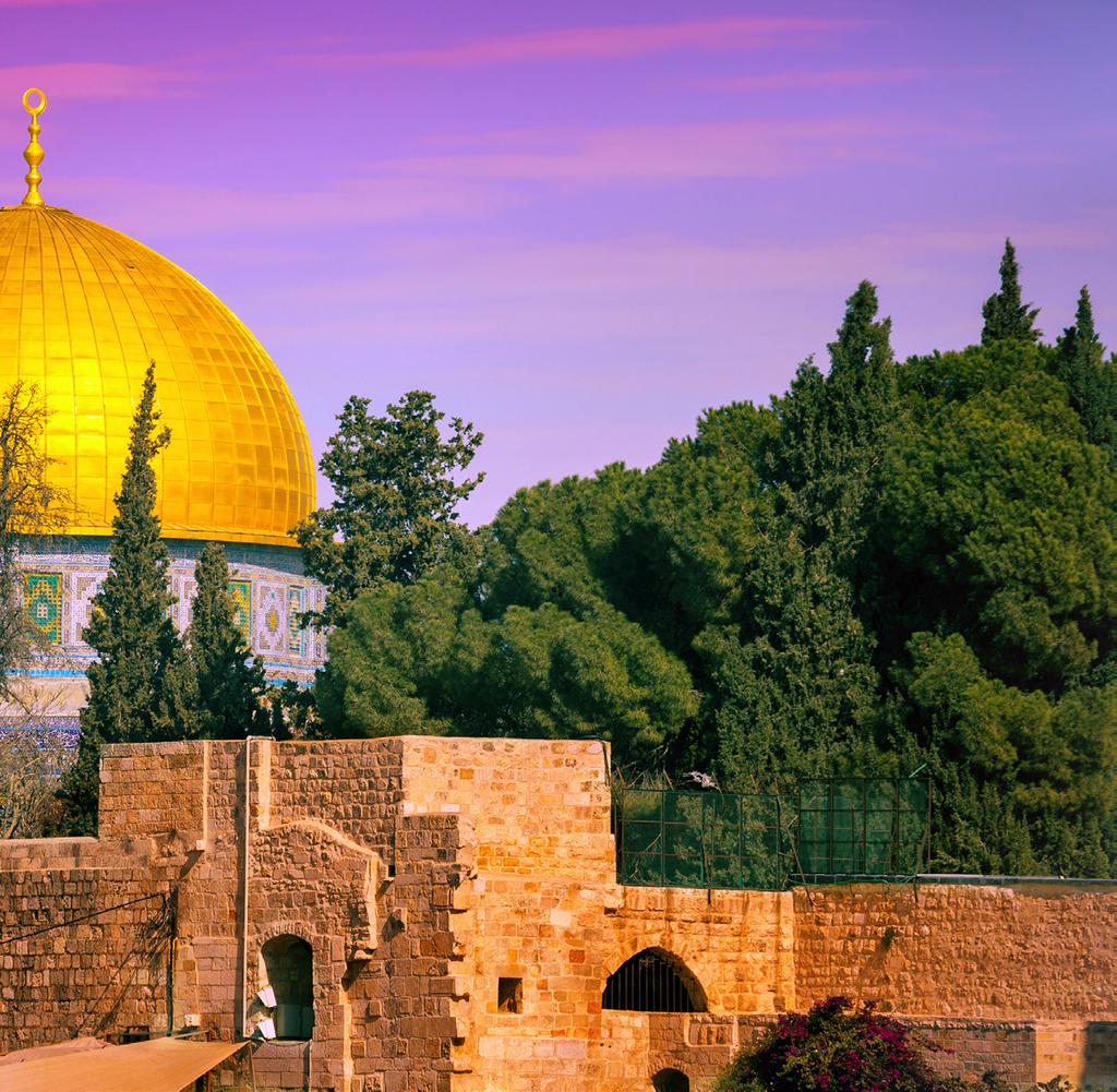 Introducing Israel Land of the Bible 7th -
