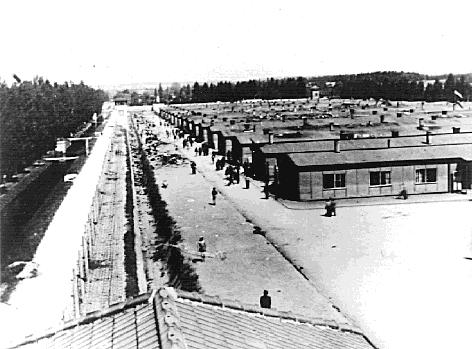 The Holocaust In the beginning, prisoners were executed, starved or worked to death.
