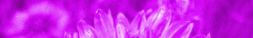 VIOLET FLAME DECREE (3x) In the Name I AM THAT I AM, Saint Germain and all
