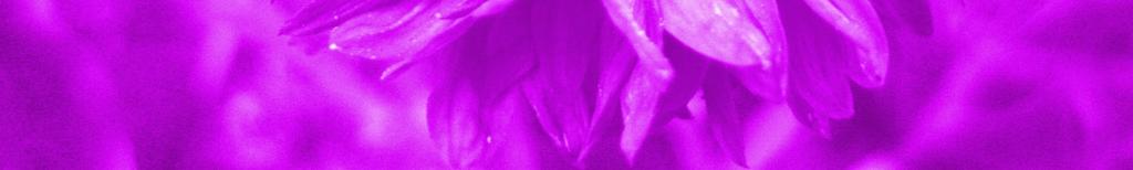 I Am the Violet glow To help all people know The reality of life Freedom s
