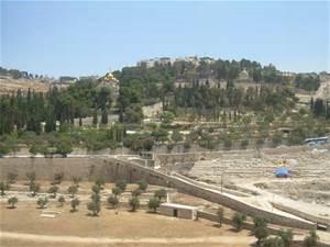 Monday, March 14 Luke 22:39-46 Jesus prays on the Mount of Olives. He prays here in the Garden of Gethsemene. Let s look at this situation.