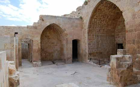 48 / THE STATE OF CULTURAL HERITAGE IN THE ANCIENT CITY OF ALEPPO AREA 3 THE ROYAL AYYUBID COMPLEX AND ITS SURROUNDINGS ROYAL AYYUBID COMPLEX & SURROUNDINGS 21 November 2010 There is light damage to