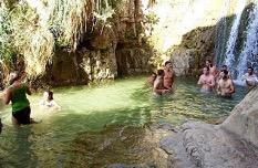 Right now in En-gedi (Ein Gedi) there are