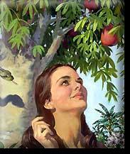Genesis 3:6 (NKJV) So when the woman saw that the tree was good for food, that it was pleasant to the eyes, and a tree