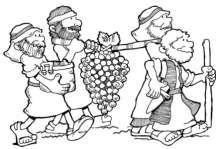Harvest Fruit Fun Facts And they came in to the valley of Eshcol, and cut down from there a branch and one cluster of grapes.