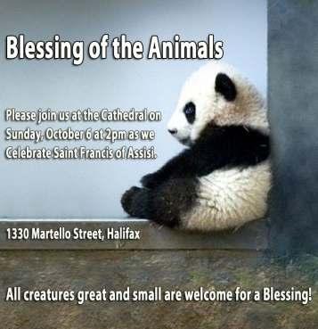 Saint Francis of Assisi Blessing of the Animals Please join us on Sunday, October 6 at 2pm in the Cathedral garden for our annual Blessing of the Animals Service. All animals big or small are welcome!