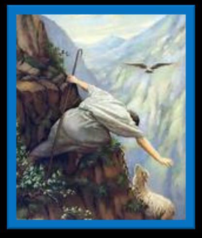 Lost Sheep Ministries News May 2015 - Mexico The Great Commission: Matthew 28: 18-20 is a commission for all Christians to GO, make Disciples, and teach them to OBEY all that Jesus has commanded us.