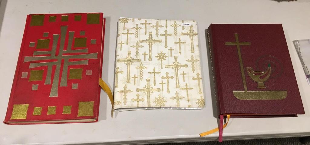 SJB Lector Books Book of the Gospels Book of the Liturgy Lectionary LECTOR 2 Lector 2 carries the Lectionary and the Book of the Liturgy up to the ambo at 2 or 3 minutes before Mass start time and