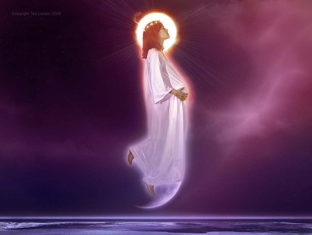 Now a great sign appeared in heaven: a woman clothed with the sun, with the moon under her feet, and on