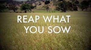 But this I say, he who sows sparingly will also reap sparingly; and he