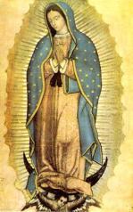 Spanish Apostolate RCIA in Spanish.... 8 Spanish Prayer Group. 8 English as a Second Language (ESL).. 9 Guadalupano Group. 9 Rosary at Home.. 9 Our Lady of Providence Committee 9 Citizenship Committee.