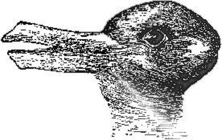 Illustrations First: Duck? Rabbit?
