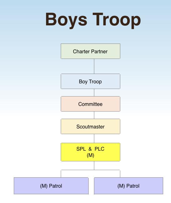 (M) indicates male youth & youth leaders The above organization structure looks very familiar, right? That s because it s been this way for over 100 years.