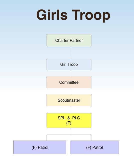 (F) indicates female youth & youth leaders The organization of a girl troop looks pretty much the same as a boy troop.