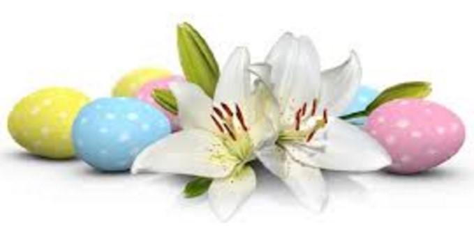Easter Lily Remembrances 2017 In Honor Of Our children, Miller & Katy Scott Given by: Jennifer & Russell Scott Richard & Jean Roland Given by: Charles & Margaret Holley Rev.