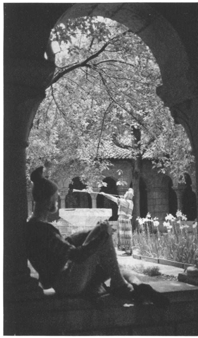 Televising the Play of Daniel Photographs by JAMES DELIHAS During the Christmas season of I958, The Play of Daniel was performed at The Cloisters by the New York Pro Musica, directed by Noah