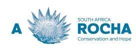 Annual review and Chairman s report to the 9 th Annual General Meeting of A Rocha South Africa, November 2014 Dear members of the Board of Reference, Members of A Rocha and Friends Thank you for