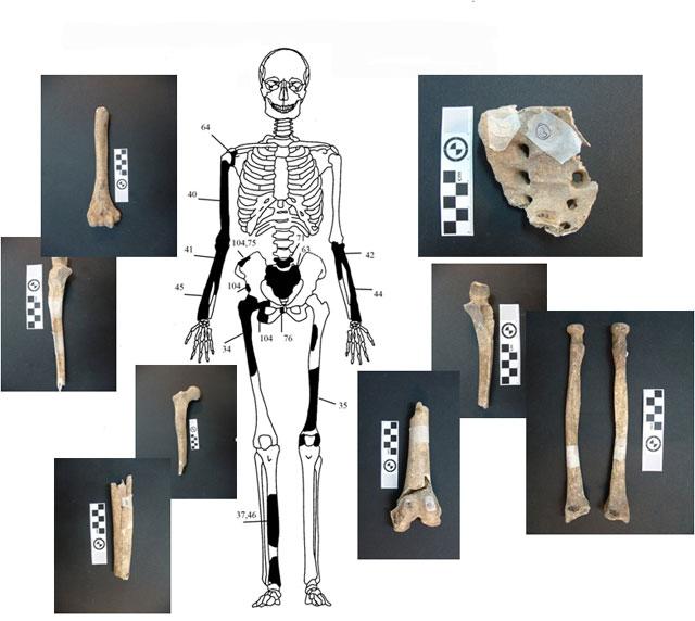 skeleton of the younger male Figure 5.