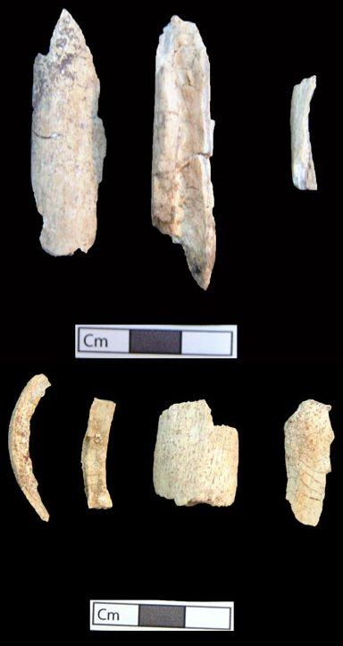 The few cremated bone fragments found in the tomb (Figure 6) are from an adult of indeterminate age and sex. This individual received a high status cremation funeral.