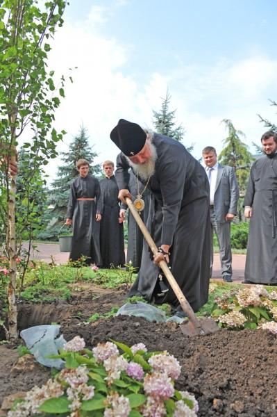 Planting a tree in the Dormition