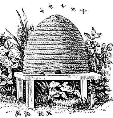 Some worker bees guard the entrance to the hive and will not let a bee enter which is not a member of the hive. All bees look alike.
