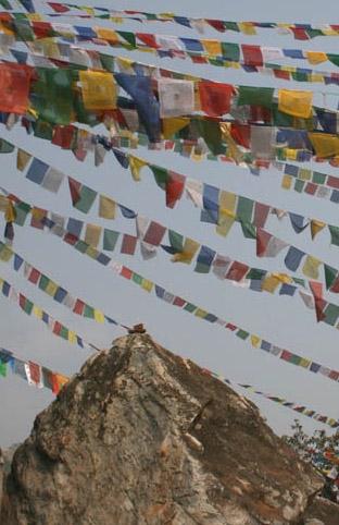 40 Years T A P : C I F A Founded in 1969 by Tarthang Tulku, a high lama living in exile, Tibetan Aid