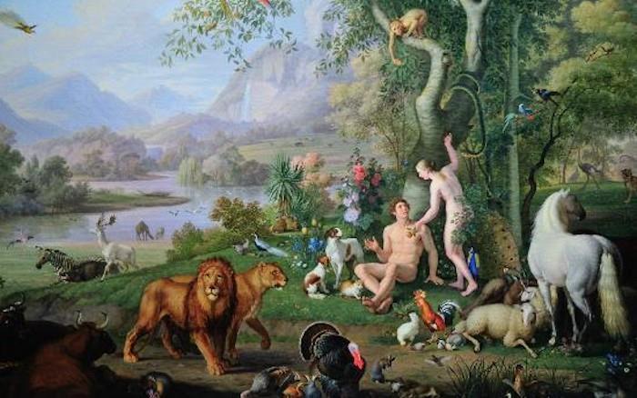 Did Plants and Insects Die in the Garden of Eden?