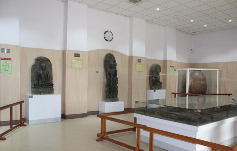 Museums of Archaeological Survey of India Gallery No. 1 fig.