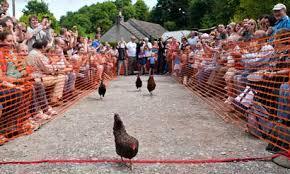 World Hen Racing Championships They ve been doing this for about a hundred years at Bonsall, although the event at the Barley Mow is a comparatively recent revival.