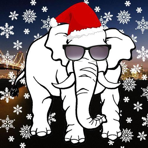 ! Tuesday night, December 20 at 6:30! Bring a $5.00 white elephant gift, and a snack to share! INVITE FRIENDS!
