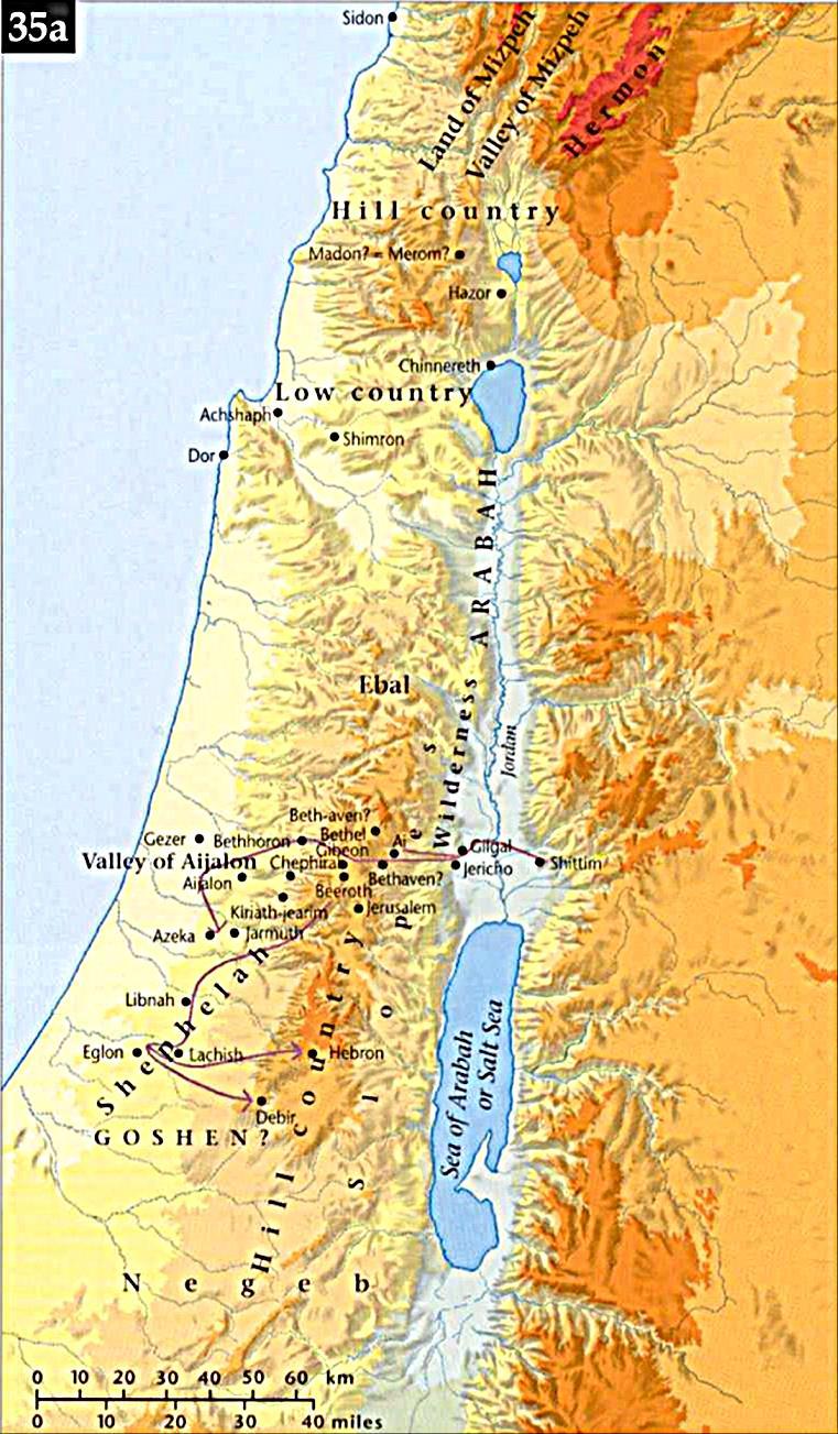 Lesson 5: Joshua 11 ~ 12 Chp 12: 7 24 Joshua & Israel attacked & destroyed 31 kings and took all their land for the remaining tribes.