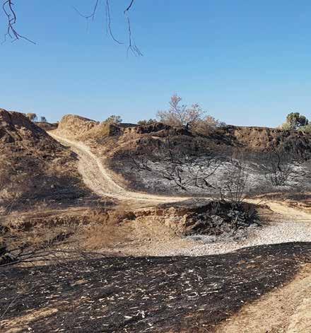 terror arson Hamas incendiary kites and balloons have burned up thousands of acres of agricultural lands in southern Israel and caused tens of millions of shekels in damage.