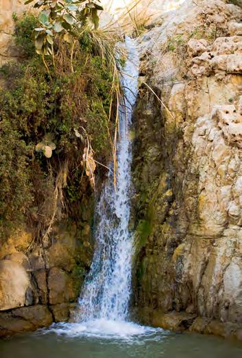 waterfalls. Next, we ll ascend Mt. Masada (with the help of a cable car!