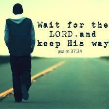 King David wrote, Wait on the LORD, And keep His way, And He shall exalt you to inherit the land; When the wicked are cut off, you shall see it.