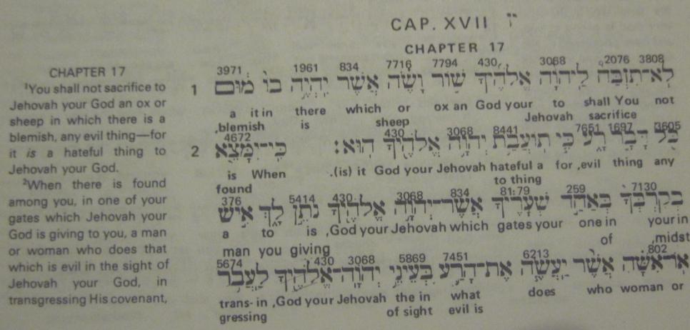 from the image. The English translation on the left is for the King James Version. The standard word order in a Hebrew clause is VERB-SUBJECT-OBJECT.