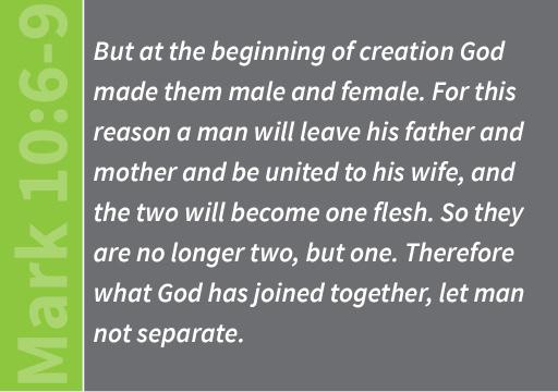 onward. He alludes to the teaching of Genesis 2 that a man shall leave his father and mother, cleave unto his wife, and the two shall become one flesh.