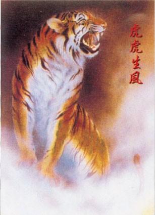 Tigers and dragons complete the great cycle of creation. Yet, no tiger is a dragon and no dragon is a tiger.