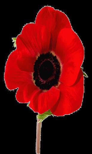 We remember with thanksgiving and sorrow those whose lives, in world wars and conflicts past and present, have been given and taken away.