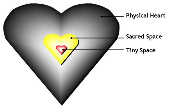 The Heart and its Sacred Spaces and Fields There are three levels of heart activity or functionality. There is the physical heart and its function as a physical pump. There is also the sacred space.