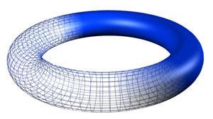 So, more accurate illustration of the torus is more like what is seen in the adjacent figure. Your EMFs always spin in the same direction and do not change.