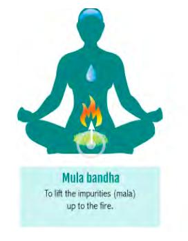 MULA BANDHA The ROOT LOCK Coccyx to navel Contracted and lifted upwards towards the spine Builds