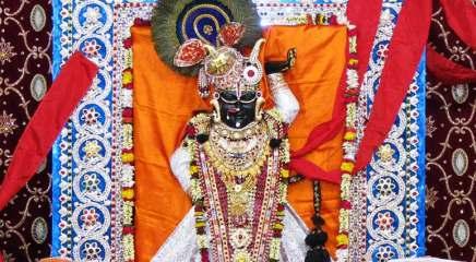 Sight Seeing Options SHRINATHJI TEMPLE The Swarup or divine form of Shrinathji is said to be self-manifested.