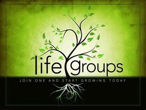 Life Group Leader Training Research has proven that one of the elements in a Christian s life that come together to ensure consistent spiritual growth is participation in a healthy small group.