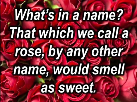 So to ask the question what s in a name, Shakespeare is in effect saying: why do we allow names, family names, given names, why do we allow them to separate us?