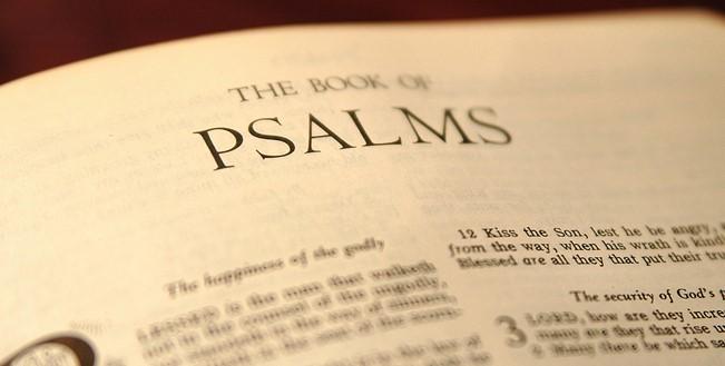 The awesome concept that makes it a group effort is that every day the entire Book of Psalms is read by the group (because each participant is assigned a different section each day). Email Fr.