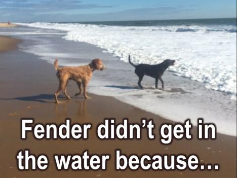 Fender didn t get into the water, do you remember why? This is going back a whole year.