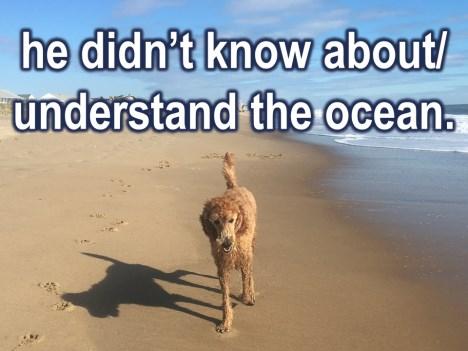 He didn t understand or know about the ocean. So he was afraid.