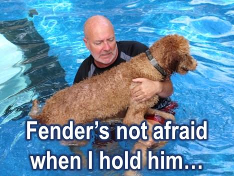 But the 2 Labs jumped in so we had a little bit of a swim and Fender stood