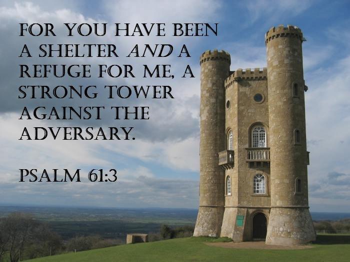 8 A Strong Tower A Mighty Fortress is Our God Proverbs 18:10 - The name of the Lord is a strong tower; the